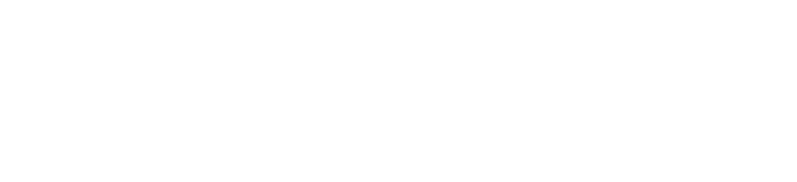CAM Logo